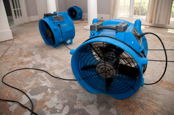 Best Sewage cleanup and water damage restoration  in Irondale, GA