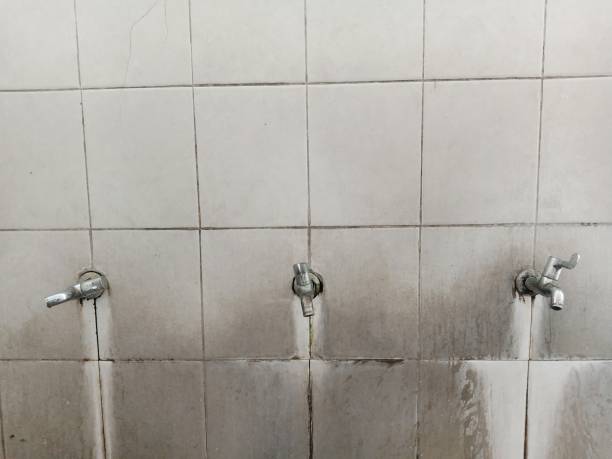 Carpet water damage restoration in Irondale, GA
