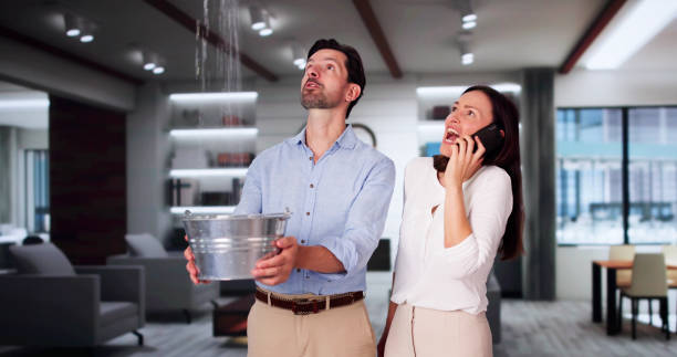 Best Carpet water damage restoration  in Irondale, GA