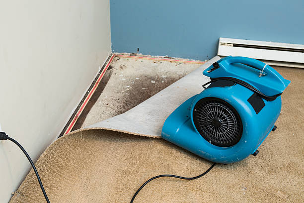 Best 24/7 water damage repair  in Irondale, GA